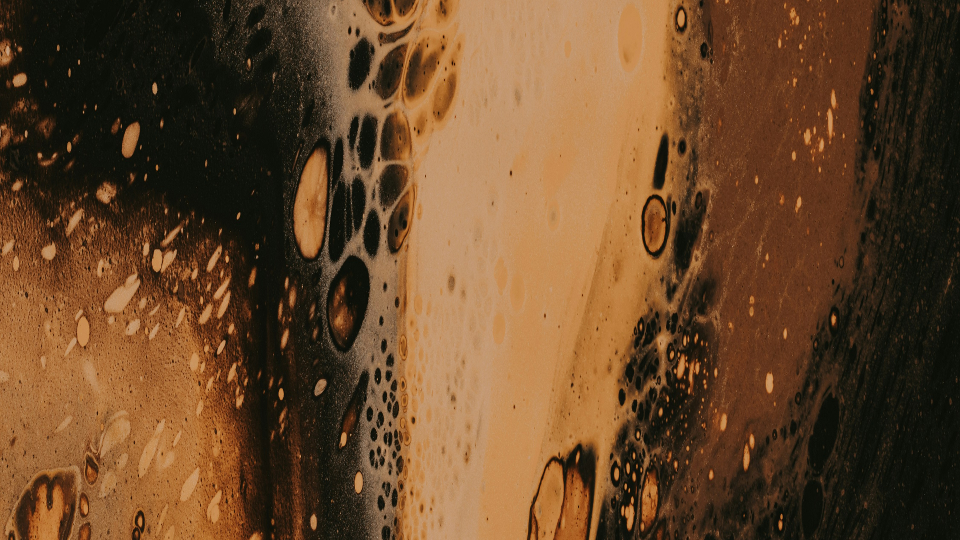 Identité visuelle de la brasserie artisanale La Taverne Maltée