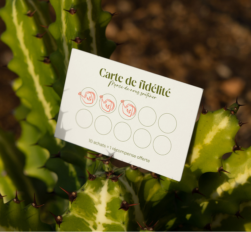 Sève de coton logotype