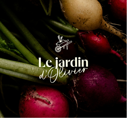 Sève de coton logotype